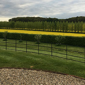 Some of our Fencing