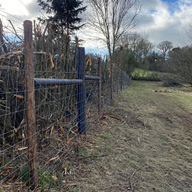 Deer proof fencing