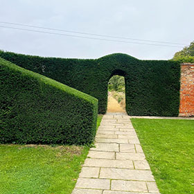 Hedge trimming