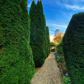 Expert pruning and hedge trimming