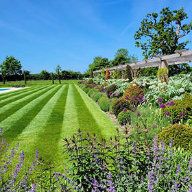 Well looked after and maintained garden